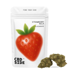 Strawberry Milk – Flores CBD Glasshouse - The CBD Side - WeWeed