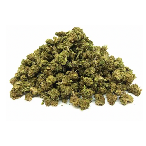 MINI-BUD GREENHOUSE - Stormrock - WeWeed