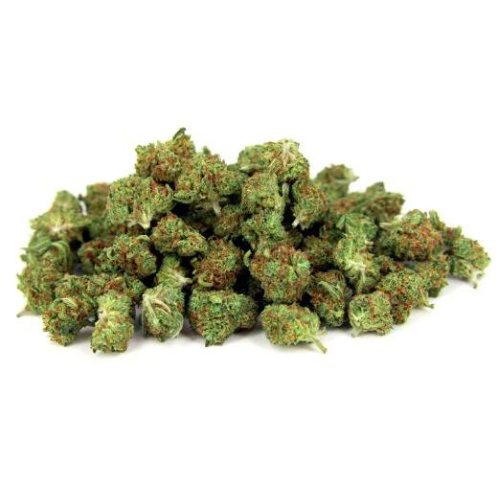 MINI-BUD PREMIUM - Stormrock - WeWeed