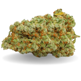 GIRL SCOOT COOKIES - Stormrock - WeWeed