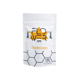 Tropicana - Flower Farm - WeWeed