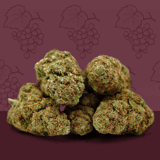 Grape Cali CBD 🍇 [Indoor] - Mama Kana - WeWeed