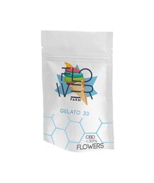 Gelato 33 - Flower Farm - WeWeed