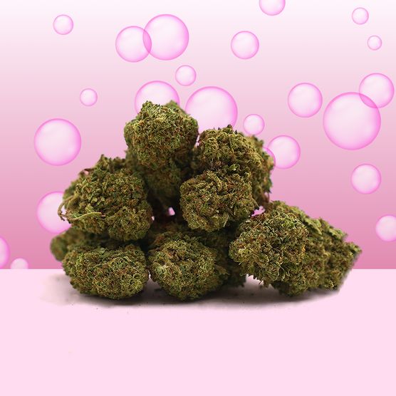 Bubba Kush CBD 🺧 [Greenhouse] - Mama Kana - WeWeed