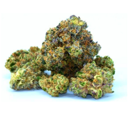 BLUE DREAM KUSH - Stormrock - WeWeed
