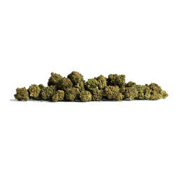 Blue Tonic Pop CBD - IberoHemp - WeWeed