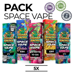 Pack 5 Vapers de STV | 10-OH | E8H – Space Vape 2ml - Iguana Smoke CBD - WeWeed