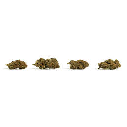 Pop Cannatonic CBD - IberoHemp - WeWeed