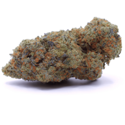 BANANA KUSH - Stormrock - WeWeed