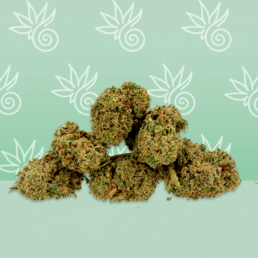 Amnesia CBD Small Buds 🌌. - Mama Kana - WeWeed