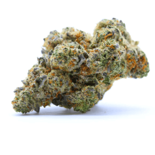 TROPICAL KUSH - Stormrock - WeWeed