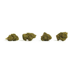 Candygaz CBD - Pop Corn - Small Buds - IberoHemp - WeWeed