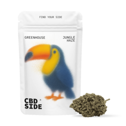 Jungle Haze – Flores CBD Greenhouse - The CBD Side - WeWeed