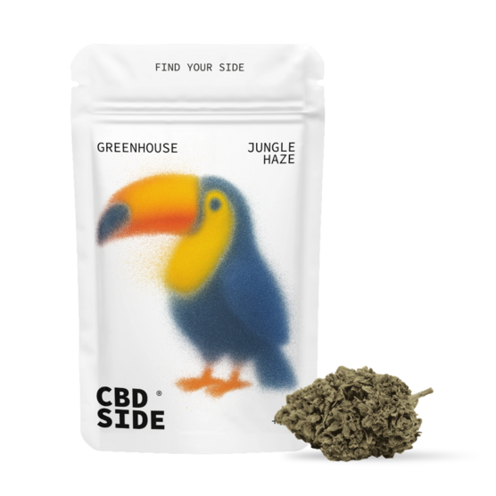 Jungle Haze – Flores CBD Greenhouse - The CBD Side - WeWeed