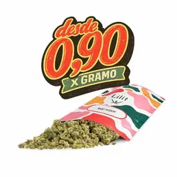 Baby Poison CBD - Lilit - WeWeed