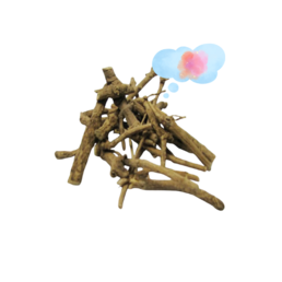 Plantas para tener Sueños Lúcidos - Sweed - WeWeed