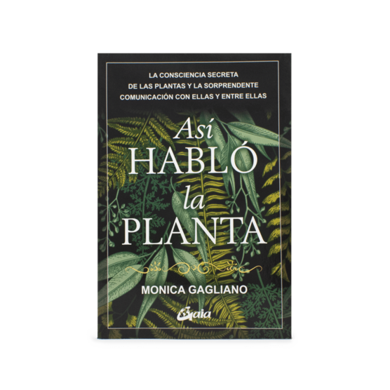 Así Habló la Planta - The CBD Side - WeWeed