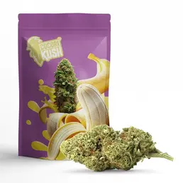 BANANA KUSH FLOR COCORIKUSH CBD - CocoriKush - WeWeed