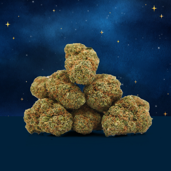 Blue Dream CBD 🌌 [Hidroponía] - Mama Kana - WeWeed