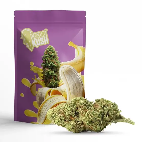 BANANA KUSH FLOR COCORIKUSH CBD - CocoriKush - WeWeed