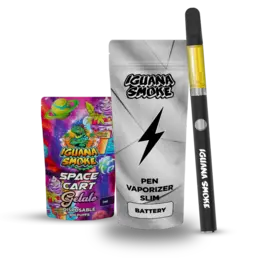 Kit Iguana Power + Cartucho de STV Sativanol 1ml - Iguana Smoke CBD - WeWeed