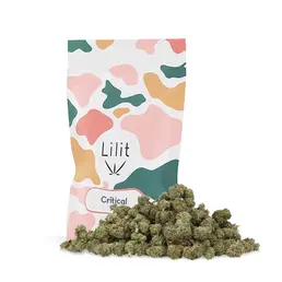 20g Cogollitos Crítical - Lilit - WeWeed