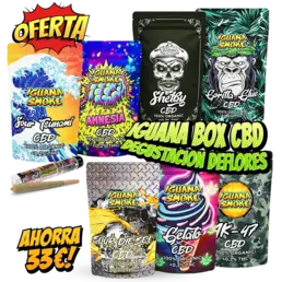 Iguana Box CBD Degustación de Flores - Iguana Smoke CBD - WeWeed