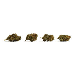Cannatonic (10g - 500g) - IberoHemp - WeWeed