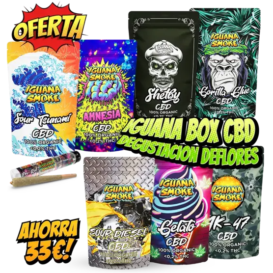 Iguana Box CBD Degustación de Flores - Iguana Smoke CBD - WeWeed