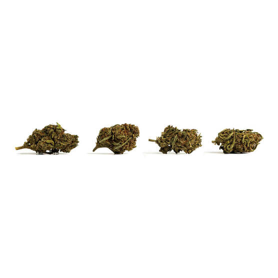 Cannatonic (10g - 500g) - IberoHemp - WeWeed