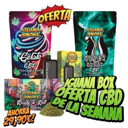 Iguana Box Oferta CBD de la Semana - Iguana Smoke CBD - WeWeed