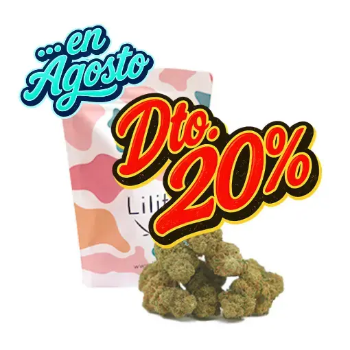 Northern Lights CBD 10g - Lilit - WeWeed