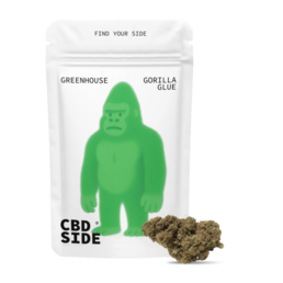 Gorilla Glue – Flores CBD Greenhouse - The CBD Side - WeWeed