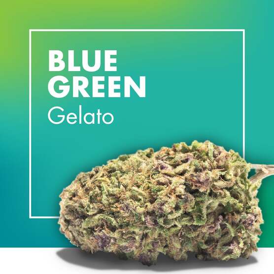 Flores CBD BLUE GREEN (Gelato) - Cannactiva - WeWeed