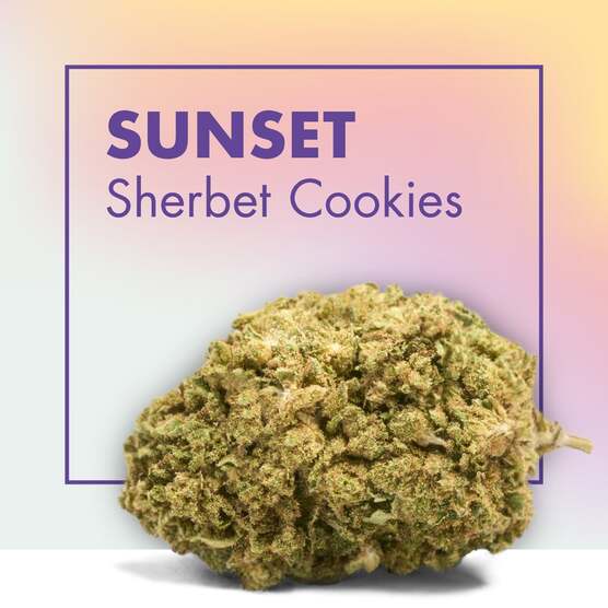 Flores CBD SUNSET (Sherbet Cookies) - Cannactiva - WeWeed