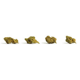 Amnesia invernadero PopCorn de Iberohemp CBD 2 (30g-500g) - IberoHemp - WeWeed