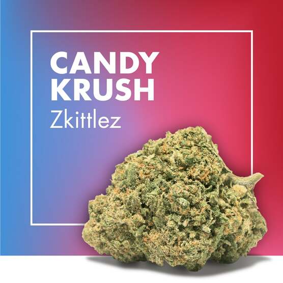 Flores CBD CANDY KRUSH (Zkittlez) - Cannactiva - WeWeed