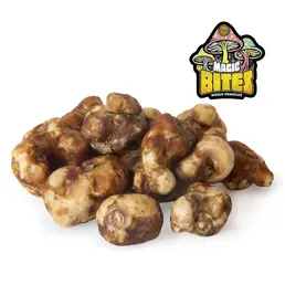 Trufas Mágicas Tampanensis 15g - Iguana Smoke CBD - WeWeed