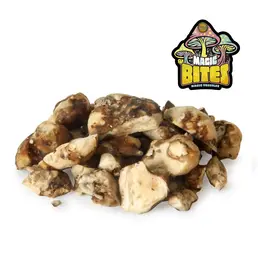 Trufas Mágicas Dragon 15g - Iguana Smoke CBD - WeWeed