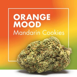 Flores CBD ORANGE MOOD (Mandarin Cookies) - Cannactiva - WeWeed
