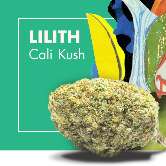 Flores de CBD LILITH (Cali Kush) - Cannactiva - WeWeed