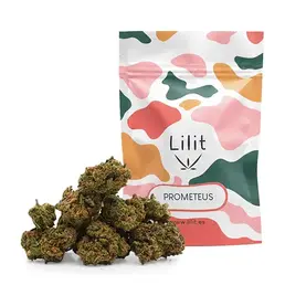 Prometeus Indoor CBD - Lilit - WeWeed