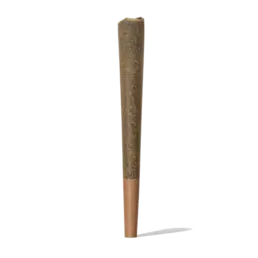Pre Roll CBD – Cono King Size de CBD - Iguana Smoke CBD - WeWeed