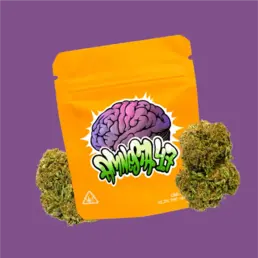 AMNESIA CBD 47 | FLORES DE CBD DE EXTERIOR - Gorilla Grillz - WeWeed