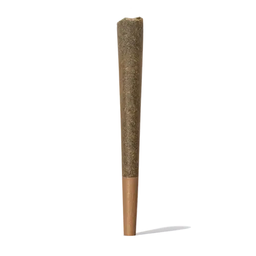 Pre Roll CBD – Cono King Size de CBD - Iguana Smoke CBD - WeWeed