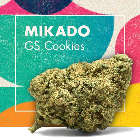 Flores de CBD MIKADO (Girl Scout Cookies) - Cannactiva - WeWeed