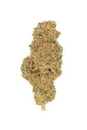 New York Diesel INDOOR - Live Bio Hemp - WeWeed