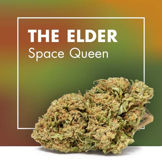 Flores CBD THE ELDER (Space Queen) | CBD Outdoor - Cannactiva - WeWeed