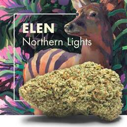 Flores CBD ELEN (Northern Lights) - Cannactiva - WeWeed