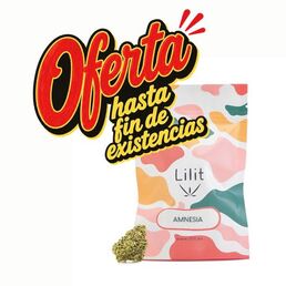 Amnesia Indoor - Lilit - WeWeed